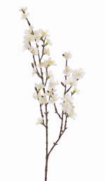 Sakura bloesemtak Prunus 76cm